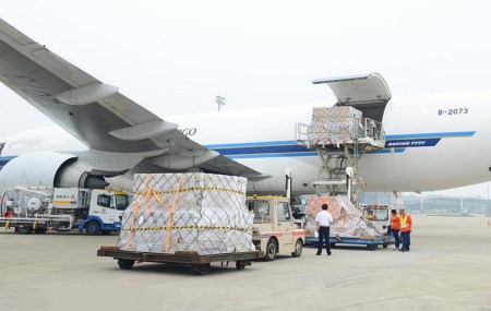 Dịch vụ giao nhận, vận chuyển - Logistic Hoa Sen Trắng - Công Ty TNHH Một Thành Viên Kho Vận Hoa Sen Trắng